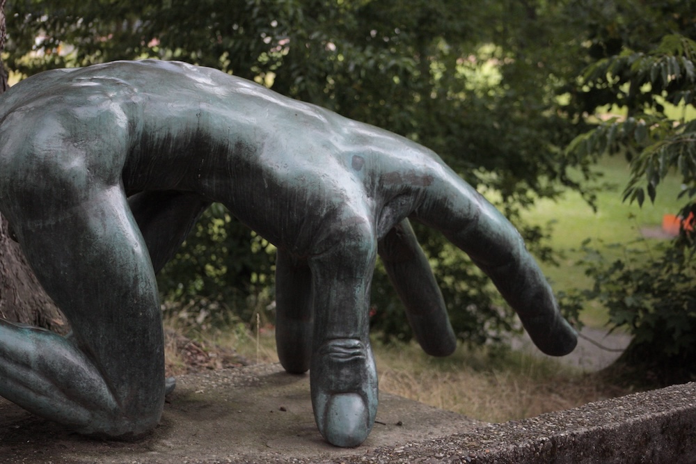 2025_07_16_Umweltprojekt9.CR2.jpg
